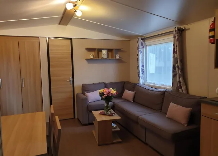 营地 Mobil-home Confort Le Bois Masson 圣让-德蒙
